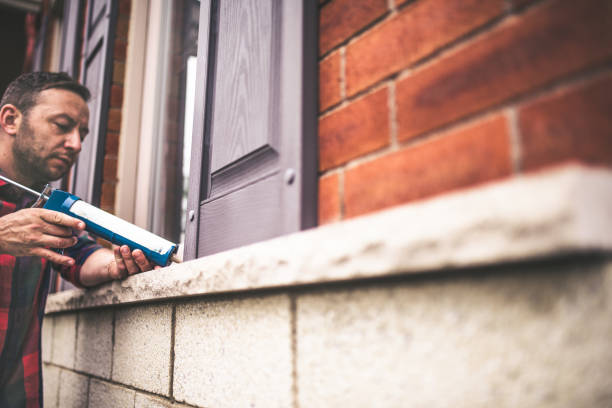 Best Insulation Removal  in Belhaven, NC