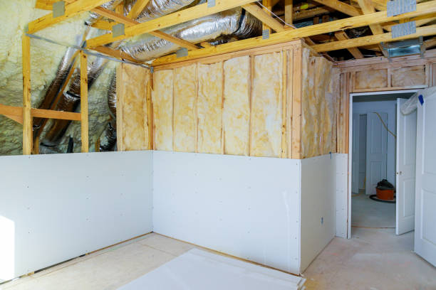 Best Home Insulation Services  in Belhaven, NC