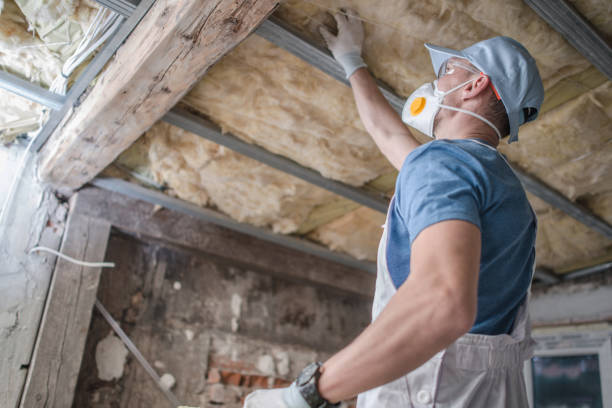 Professional Insulation Contractor in Belhaven, NC