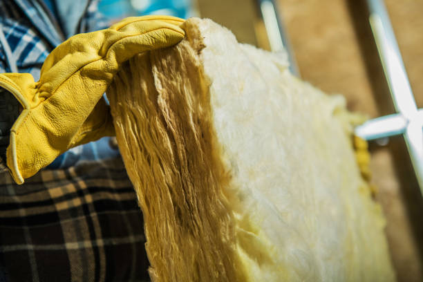 Best Insulation Replacement Services  in Belhaven, NC