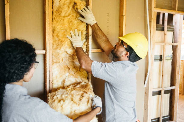 Best Best Insulation Companies  in Belhaven, NC