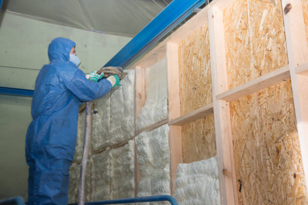 Best Blown-in Insulation  in Belhaven, NC