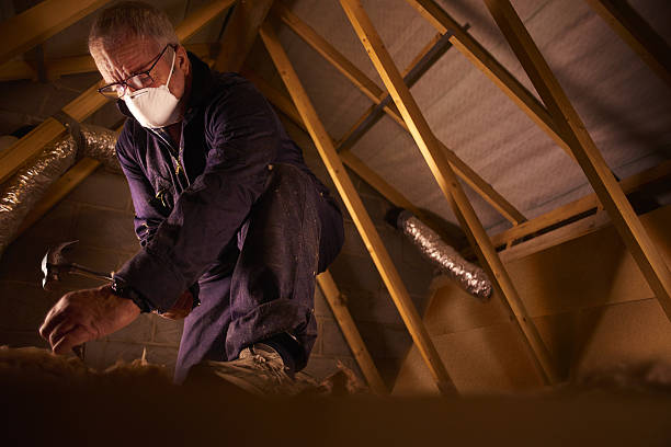 Best Attic Insulation Near Me  in Belhaven, NC