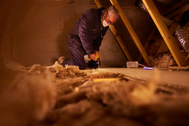 Best Crawl Space Insulation  in Belhaven, NC