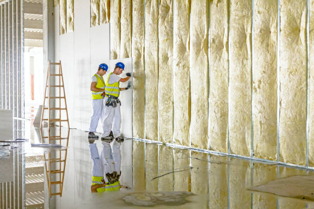 Best Professional Insulation Contractor  in Belhaven, NC